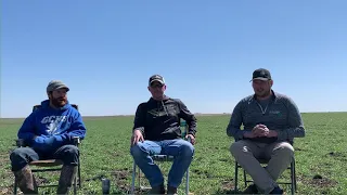 Under the Covers Episode 1: Terminating Cover Crops