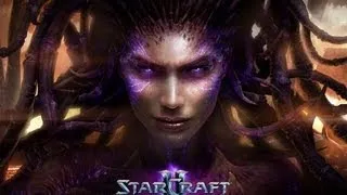 Starcraft 2: Heart of the Swarm - Campaign - Brutal - Mission 20: The Reckoning A