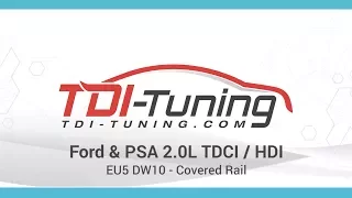 Ford & PSA 2.0L TDCI - HDI EU5 DW10 - Covered Rail