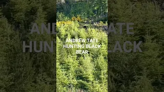 Andrew Tate hunting black bear