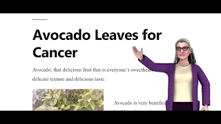 avocado leaves for cancer