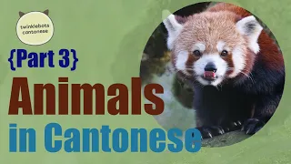 Learn Chinese. Animals in Chinese. Animals in Cantonese - Part 3 - 動物 - 粵語