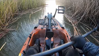 Early February Fishing on the California Delta