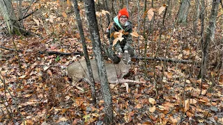 Firearm deer season 2023 in northern Michigan