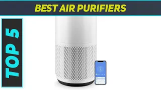 Top 5 Best Air Purifiers  2024