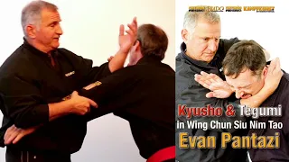 Kyusho & Tegumi in Wing Chun Siu Nim Tao. Evan Pantazi.