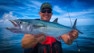 Jumbo Spanish Mackerel {Catch Clean Cook} How to Catch Mackerel