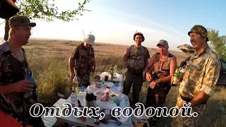 Открытие охоты на перепела, 2017 г. Юг России. the quail hunting season-2017 South of Russia.