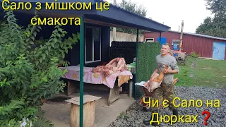 Такого Супер Сала,давно не було‼️Мої Ціни на сало та мясо‼️ТарачЮк це традиція‼️