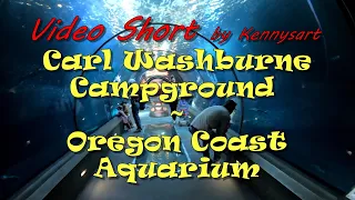 Camping Oregon coast, Washburne State Park Campground, Oregon Coast Aquarium