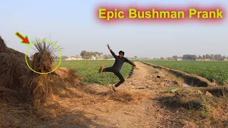 Epic Bushman Prank 2022 | New Bushman Funny Fails Video | Best of Just For Laugh | By Pendo Brand Tv