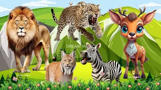 Animal sounds around us: Lion, Cheetah, Lynx, Zebra, Deer, Albatross - ANIMAL (BGM)