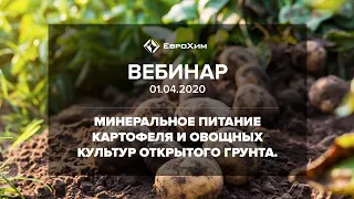 МИНЕРАЛЬНОЕ ПИТАНИЕ КАРТОФЕЛЯ И ОВОЩНЫХ КУЛЬТУР ОТКРЫТОГО ГРУНТА.