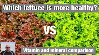 Which lettuces are healthier?