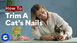 How To Trim a Cat’s Nails | Chewtorials