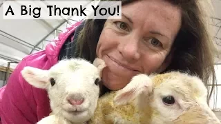 Barn Visitors and a Big Thank You.  |   Vlog 42