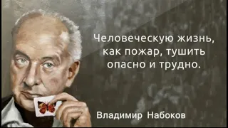 51 цитата, которая оставит вас в расколе с разумом