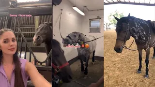 Horse TikToks That Went Viral! #5