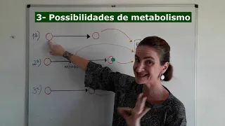 Farmacocinética 6- Metabolismo ou Biotransformação dos fármacos