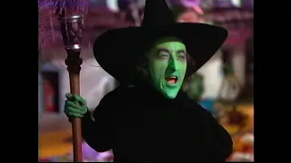 The wizard of oz wicked witch