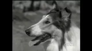 Lassie - Episode #326 - "Lassie to the Rescue" - Season 10, Ep. 3 - 10/1/1963