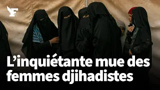 Qui sont les femmes djihadistes ?