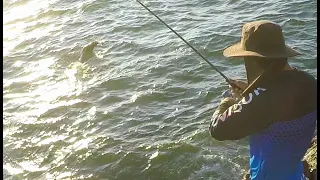 Pesca de Bonitos XL en Caleta Vitor - Arica | Gánale al lobo*