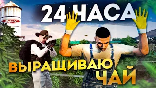 С НУЛЯ до AMG PROJECT ONE #22 / 24 ЧАСА ВЫРАЩИВАЮ ЧАЙ НА  / ГТА 5 РП МАДЖЕСТИК / GTA 5 RP MAJESTIC