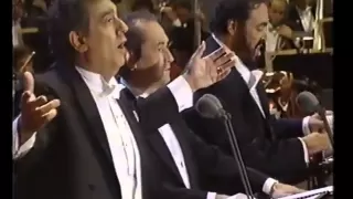 O' Sole Mio - Carreras - Domingo - Pavarotti - Los Angeles 1994... Emozionare Scherzando...