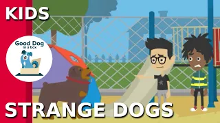 [STRANGE DOGS]: Be SAFE - Dog Bite Prevention Video for Kids | Good Dog In A Box (2019)