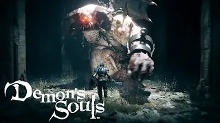 Demon's Souls/ ЛУЧШИЙ СПОСОБО ФАРМИТЬ ДУШИ, 135К ЗА 1 МИНУТУ (BEST SOUL FARMING)