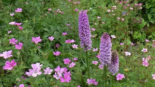 Our June Garden Tour.