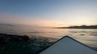 SUNRISE SURF FOR THE FIRST AUTUMN SWELL IN CORNWALL (POV SURF)