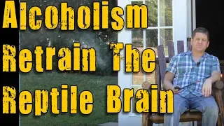 Alcohol - Retraining Your Brain For Sobriety Letter #3