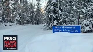 Warmer winters put Minnesota dog sledding at risk