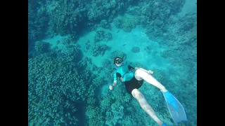 Snorkeling and freediving in Egypt, Red Sea