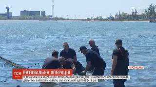 Рятувальна операція дельфіна у Лазурному отримала неочікуваний розвиток: ссавців стало більше