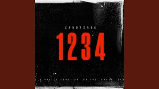 1234 (feat. Wulshe) (Radio Edit)