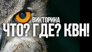 КВН-викторина. Хорошо ли ты знаешь КВН? Какой твой уровень: Масляков или Петросян?