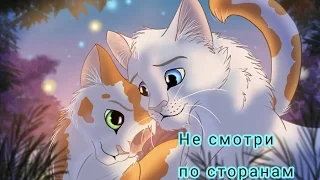 Белохвост и Яроликая-Не смотри по сторонам