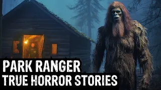 16 TRUE Terrifying Park Ranger Horror Stories (Dogman, Sasquatch, Wendigo, Deep Woods,Creepy)