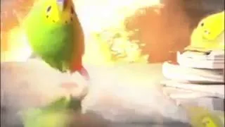 Bird runs for life (epic explosions)