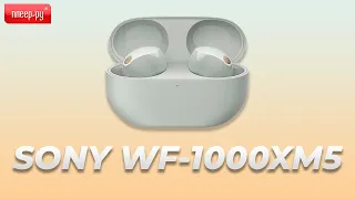 Обзор Sony WF 1000XM5