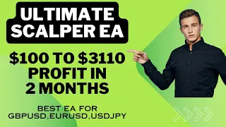 Ultimate Scalper EA Forex MT4 EA Jan And Feb 2024 Months profit | Best forex robots