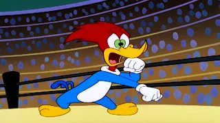 Woody Woodpecker | The Contender + More Full Episodes