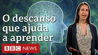 Os pequenos descansos que ajudam cérebro a aprender coisas novas