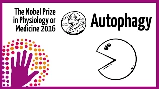 Autophagy - Nobel Prize in Physiology or Medicine 2016