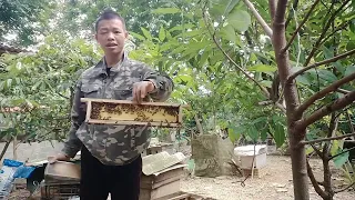 mật ong tầng kế.