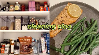 vlogmas: deep clean my apartment with me + easy salmon recipe | maddie cidlik