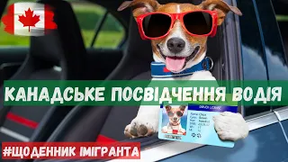 Як отримати канадське посвідчення водія? Щоденник імігранта. Іміграція в Канаду.